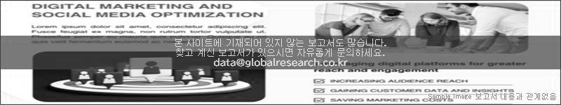 조사 보고서 이미지