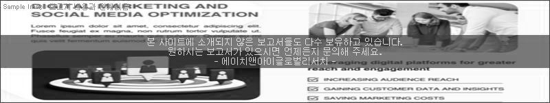 조사 보고서 이미지