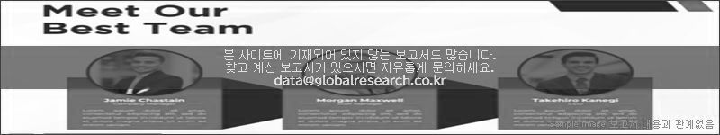 조사 보고서 이미지