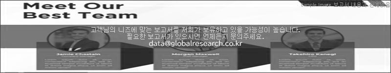 조사 보고서 이미지