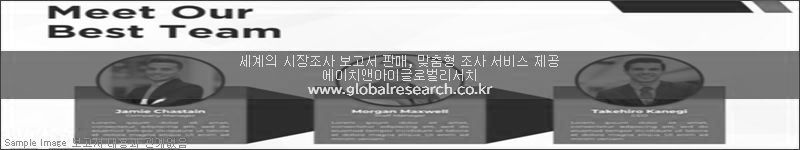 조사 보고서 이미지