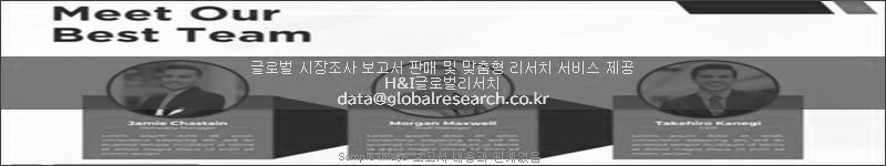 조사 보고서 이미지
