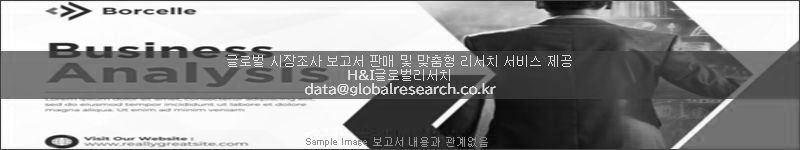 조사 보고서 이미지