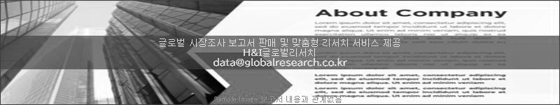 조사 보고서 이미지