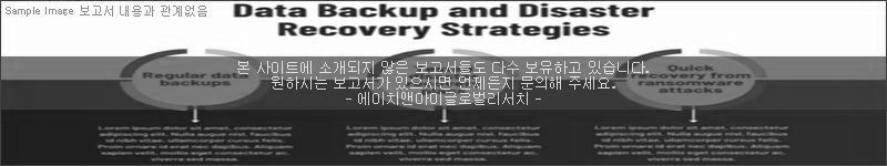 조사 보고서 이미지