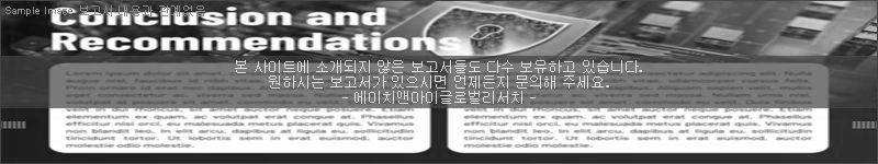 조사 보고서 이미지