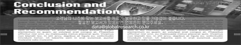 조사 보고서 이미지