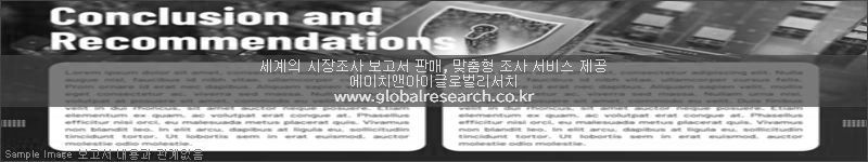 조사 보고서 이미지
