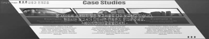 조사 보고서 이미지