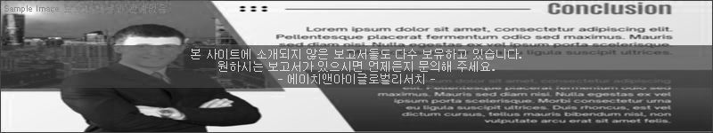 조사 보고서 이미지