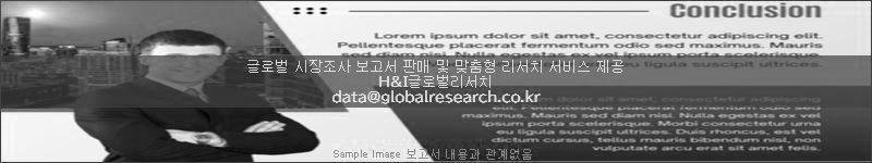 조사 보고서 이미지