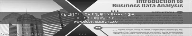조사 보고서 이미지