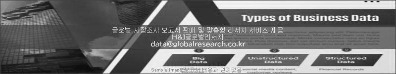 조사 보고서 이미지