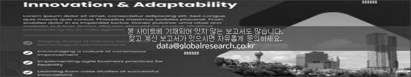 조사 보고서 이미지