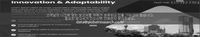 조사 보고서 이미지