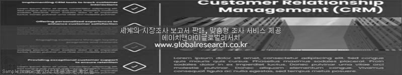 조사 보고서 이미지