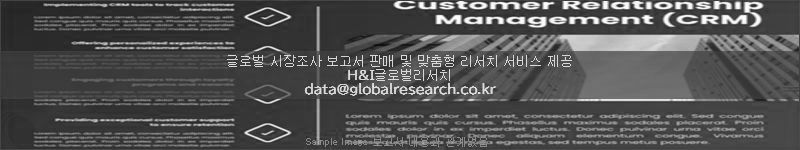 조사 보고서 이미지