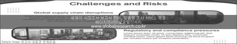 조사 보고서 이미지