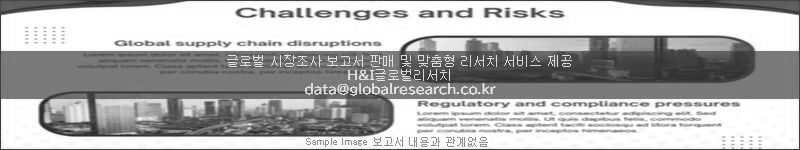 조사 보고서 이미지