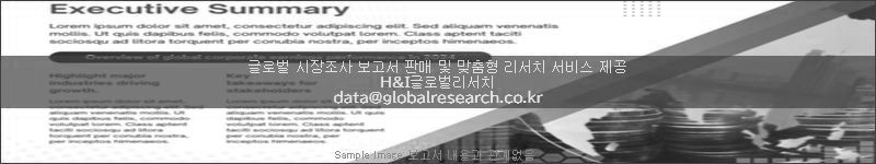 조사 보고서 이미지