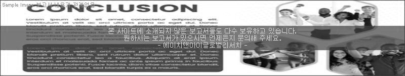 조사 보고서 이미지