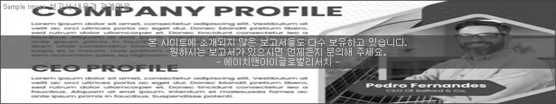 조사 보고서 이미지