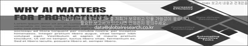 조사 보고서 이미지