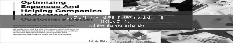 조사 보고서 이미지